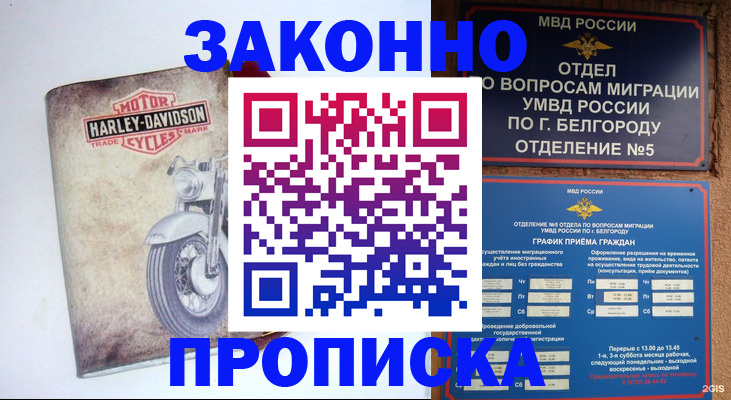 прописка для школы в Куртамыше